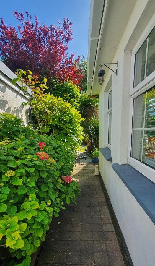 124 ,Castlelawn Heights, Headford Road Galway Homestay Bagian luar foto