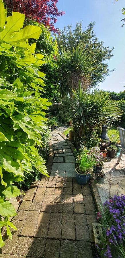 124 ,Castlelawn Heights, Headford Road Galway Homestay Bagian luar foto